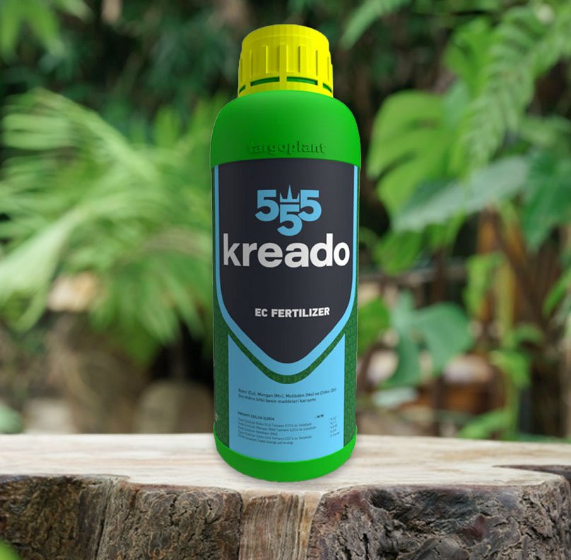 KREADO 555