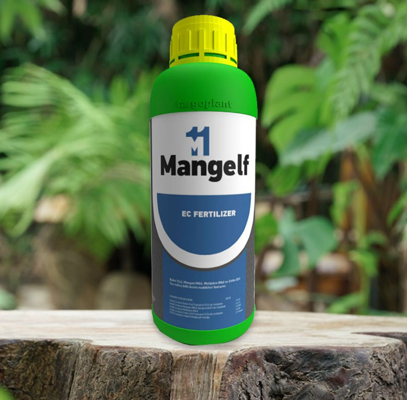 MANGELF 11